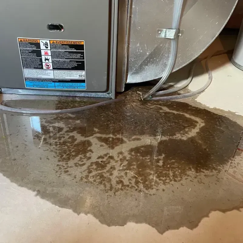 Appliance Leak Cleanup in Port Isabel, TX